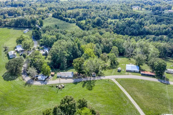 a view of a big yard with plants and large trees