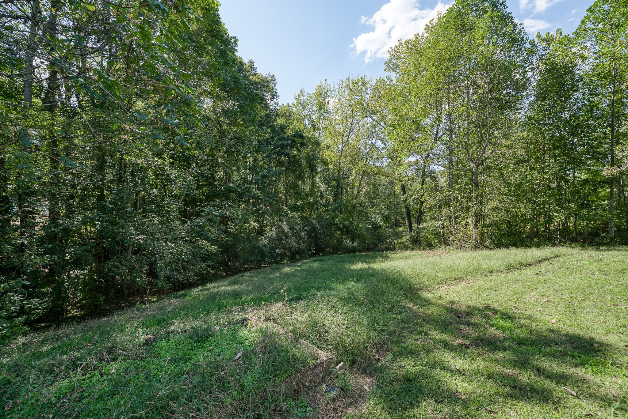 7331 Ashburn Road Baxter, TN 38544 - Photo 35 of 62 a view of a big yard with plants and large trees