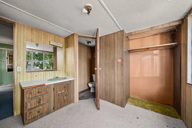 a view of a house with a yard and plants