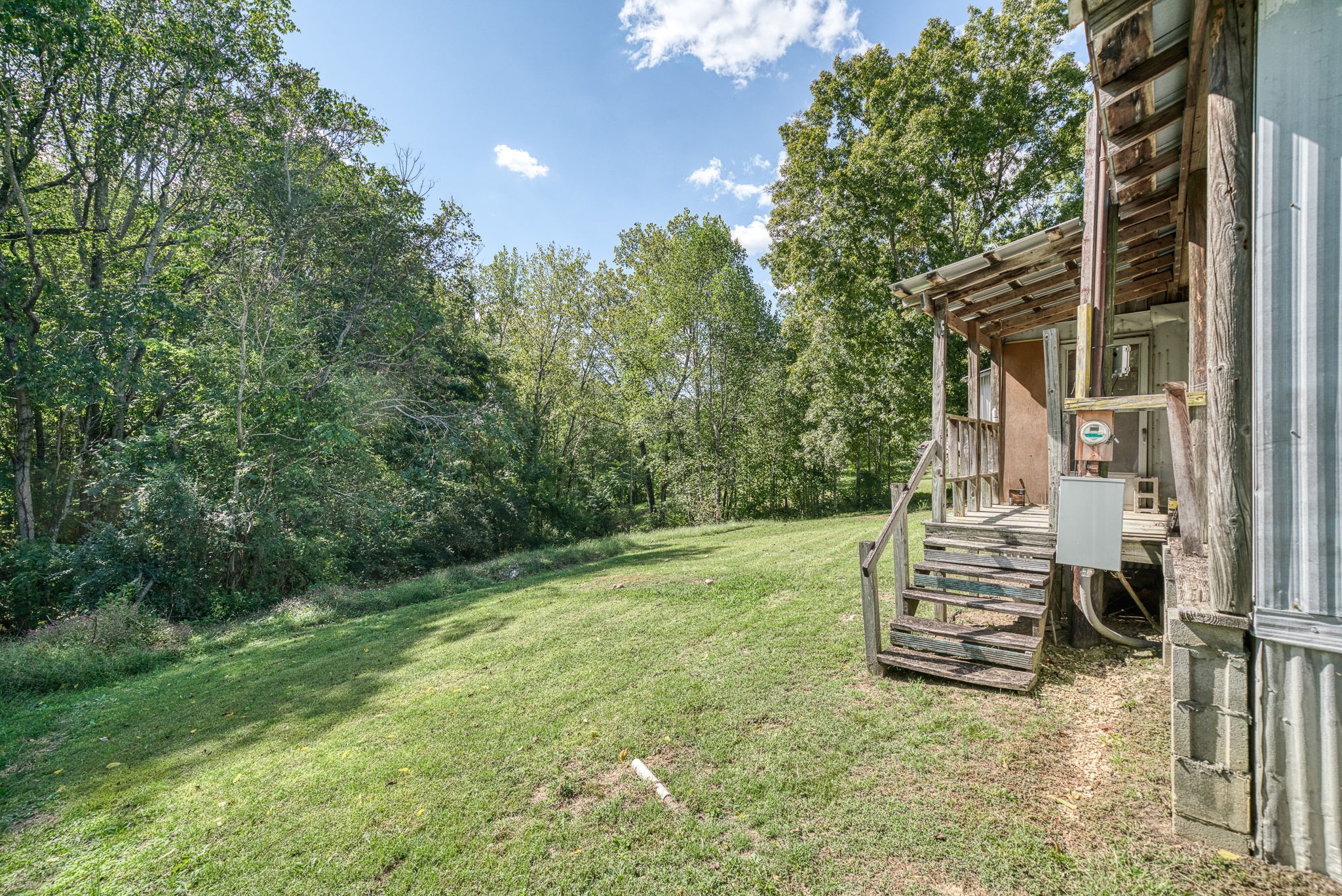 7331 Ashburn Road Baxter, TN 38544 - Photo 52 of 62 a view of backyard with trees