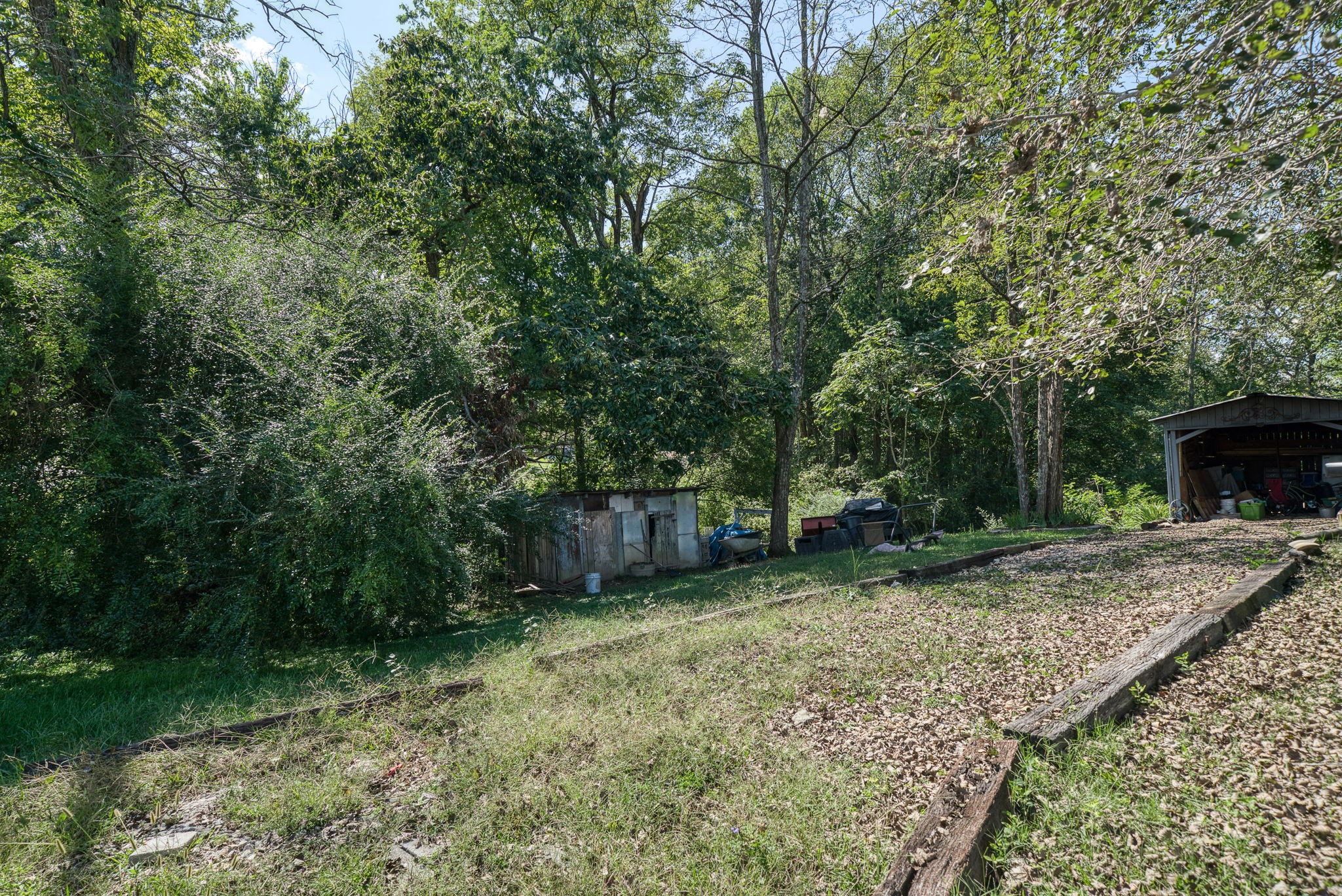 7331 Ashburn Road Baxter, TN 38544 - Photo 57 of 62 a view of a backyard with a trees