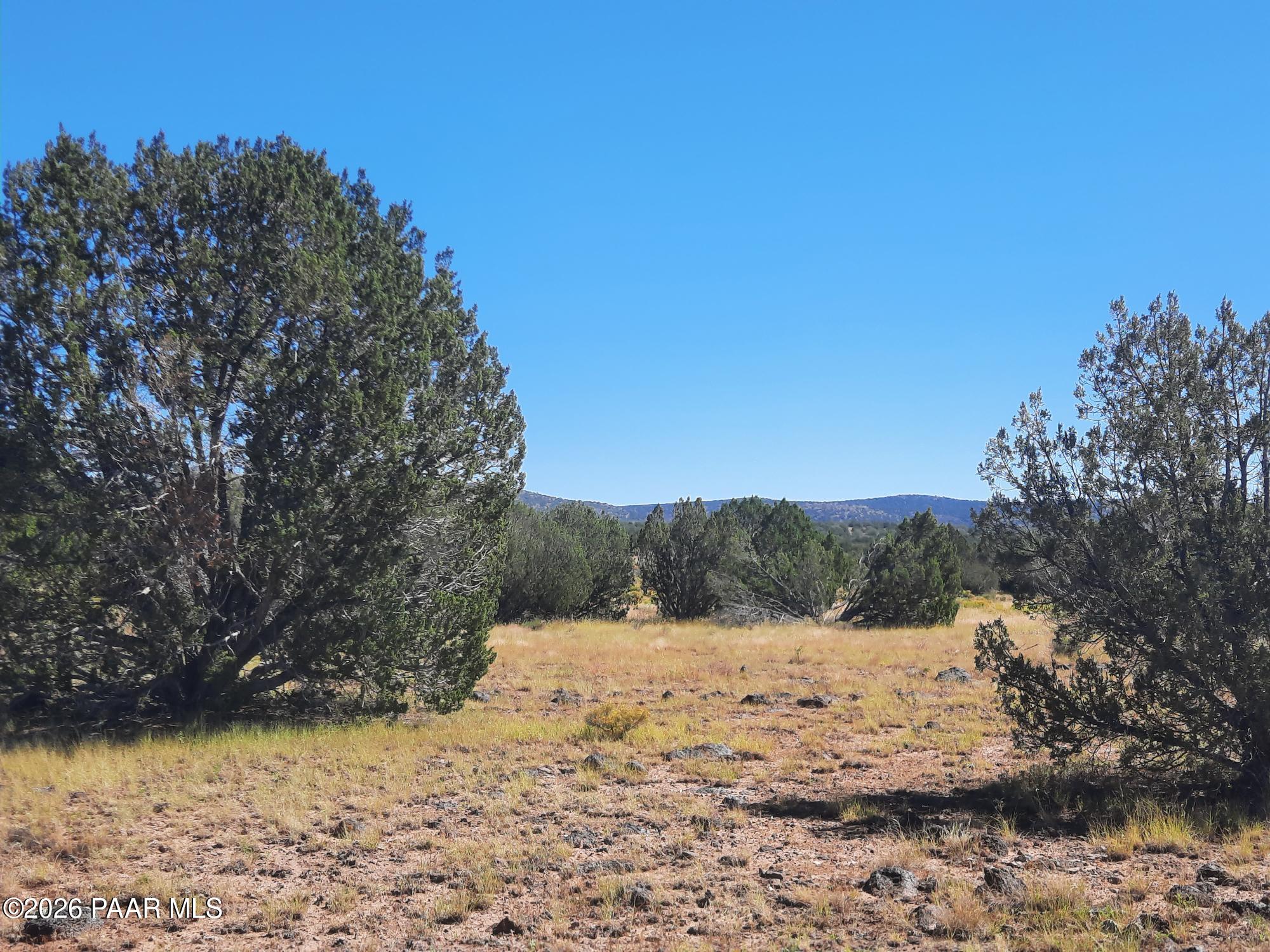 Lot 1371 Last Chance Road Seligman, AZ 86337 - Photo 6 of 20 20261001_111959