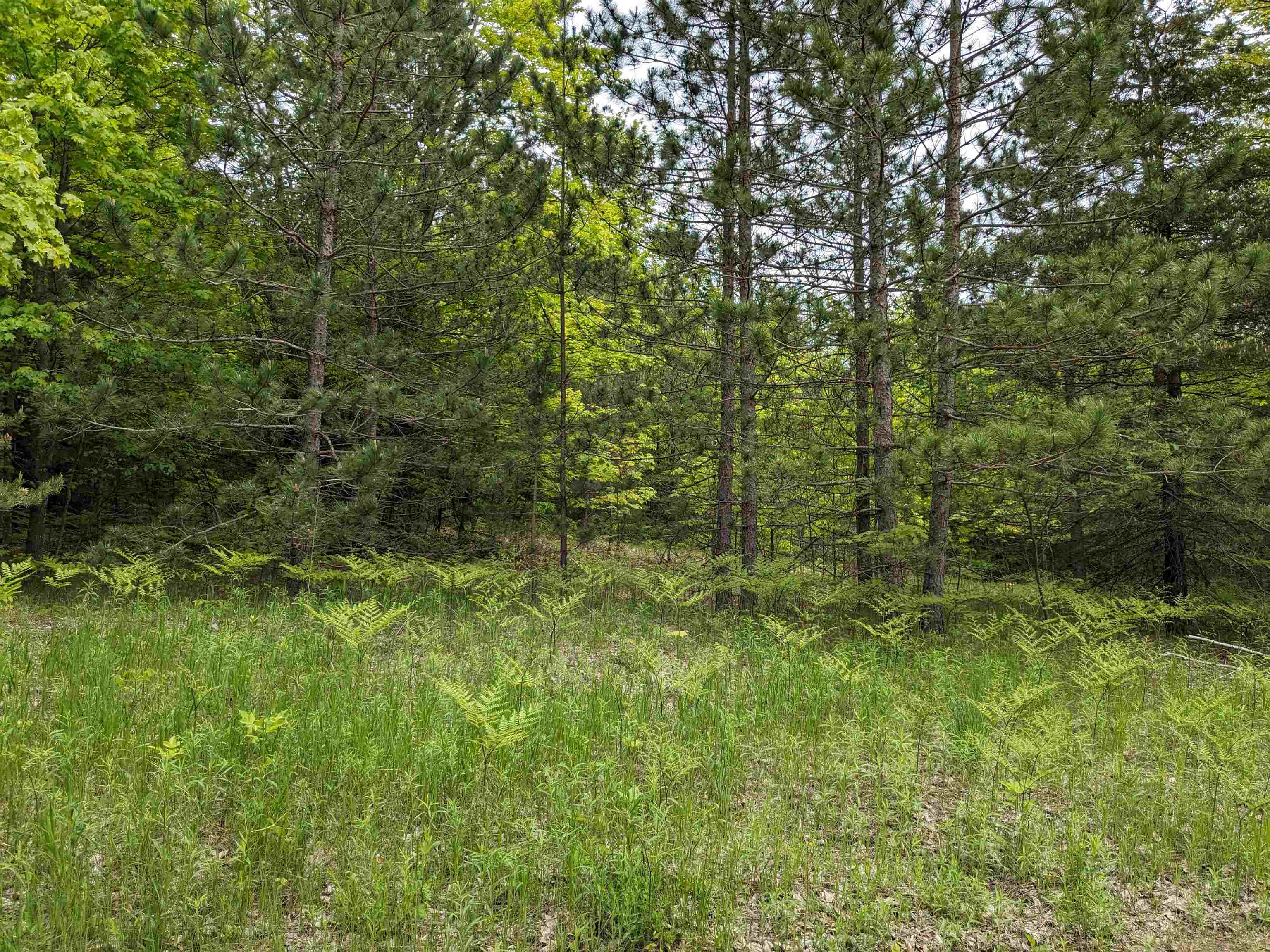 0 East 26 Road Cadillac, MI 49601 - Photo 4 of 15
