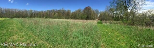 2755 North Hughes Road Howell, MI 48855 - Photo 21 of 57 South Property Line Facing NorthWest.