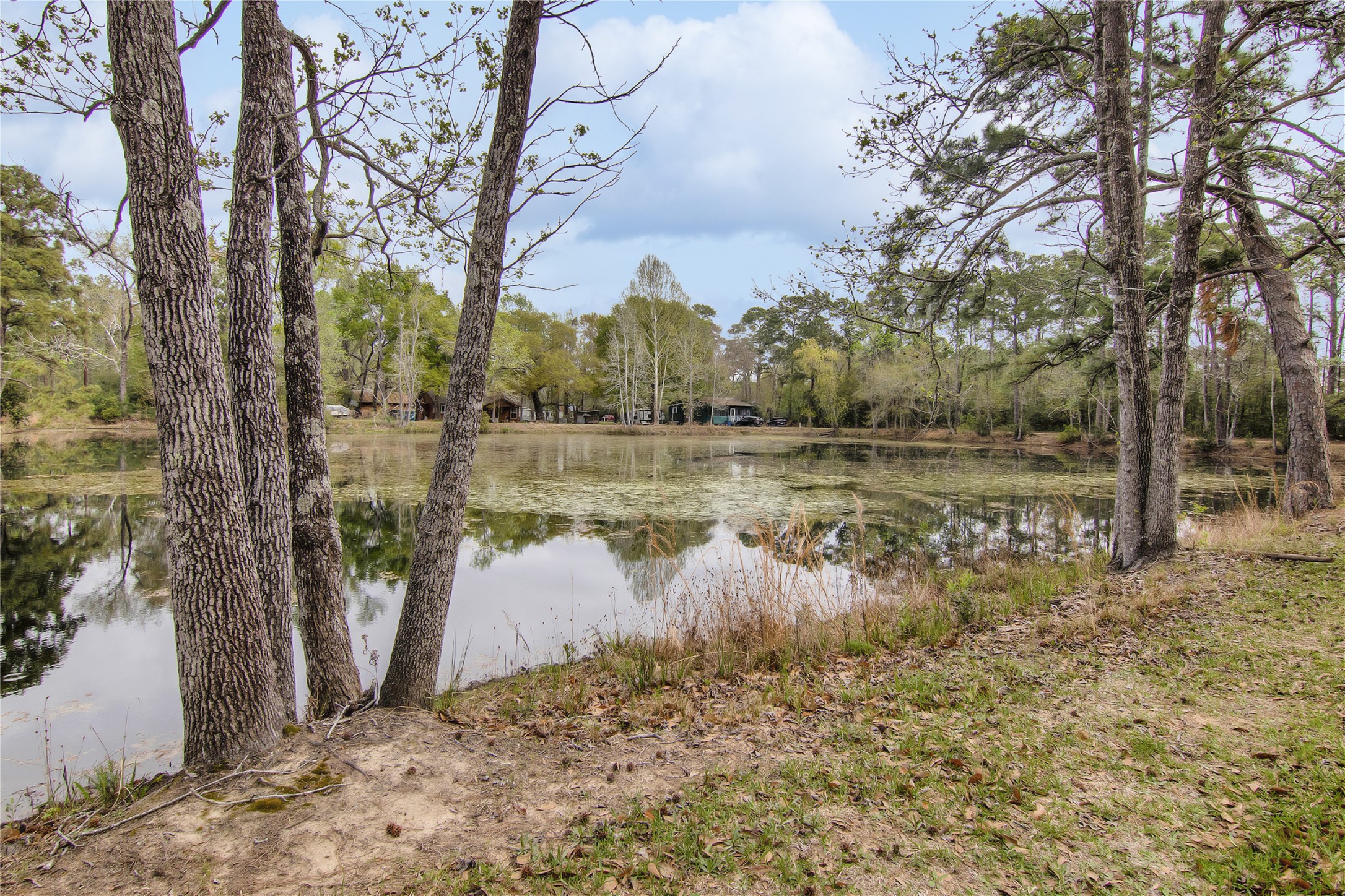 18207 Lark Lane Conroe, TX 77384 - Photo 2 of 15