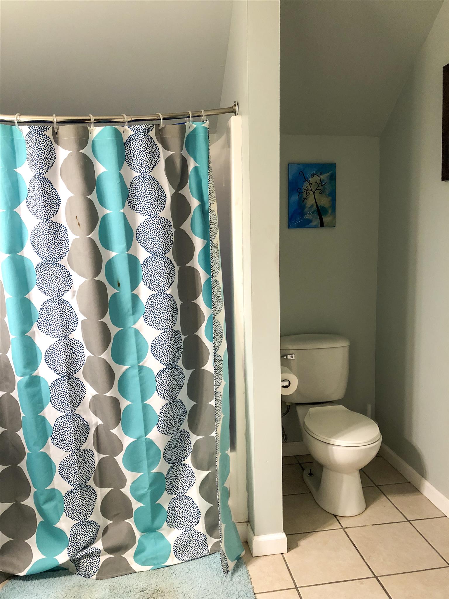 2918 Academy Road Portland, TN 37148 - Photo 12 of 26 a white toilet sitting next to a shower curtain