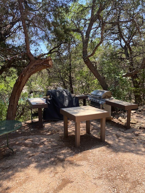 17801 Moon Rise Cove Jonestown, TX 78645 - Photo 12 of 29 Outdoor kitchen lot 24