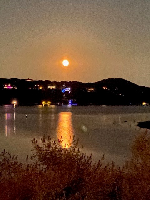 17801 Moon Rise Cove Jonestown, TX 78645 - Photo 9 of 29 Gorgeous Moon over the horizon