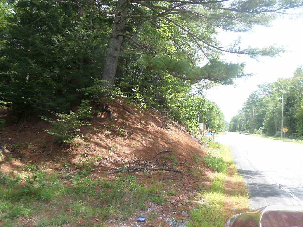 4 Us Route, Unit LOTS 33 & 41 Danbury, NH 03230 - Photo 1 of 21 Gallery Image 1