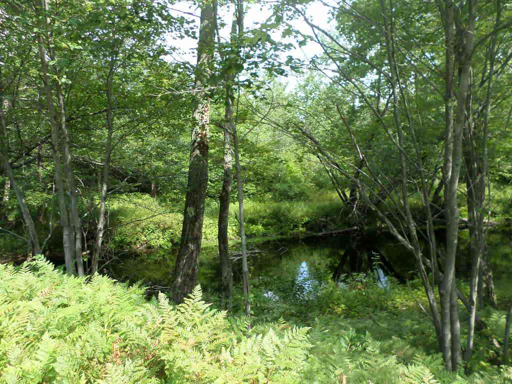 4 Us Route, Unit LOTS 33 & 41 Danbury, NH 03230 - Photo 2 of 21 Gallery Image 2