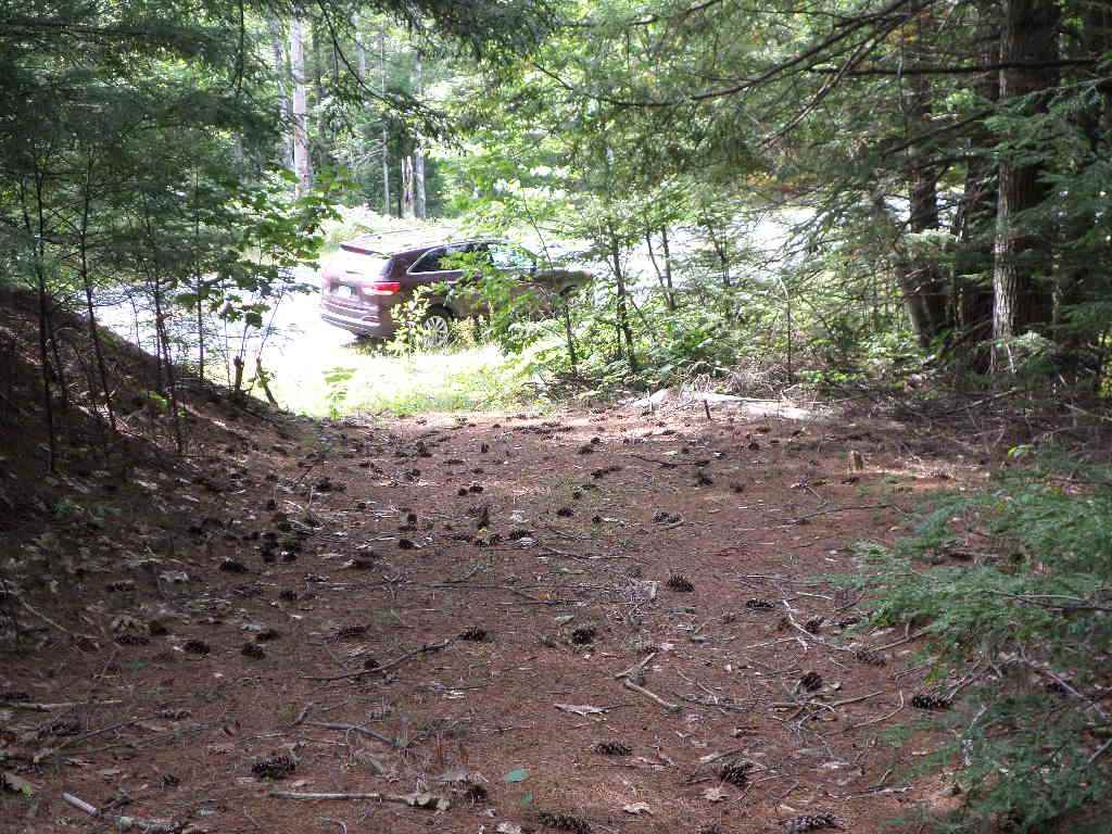 4 Us Route, Unit LOTS 33 & 41 Danbury, NH 03230 - Photo 11 of 21 Gallery Image 11