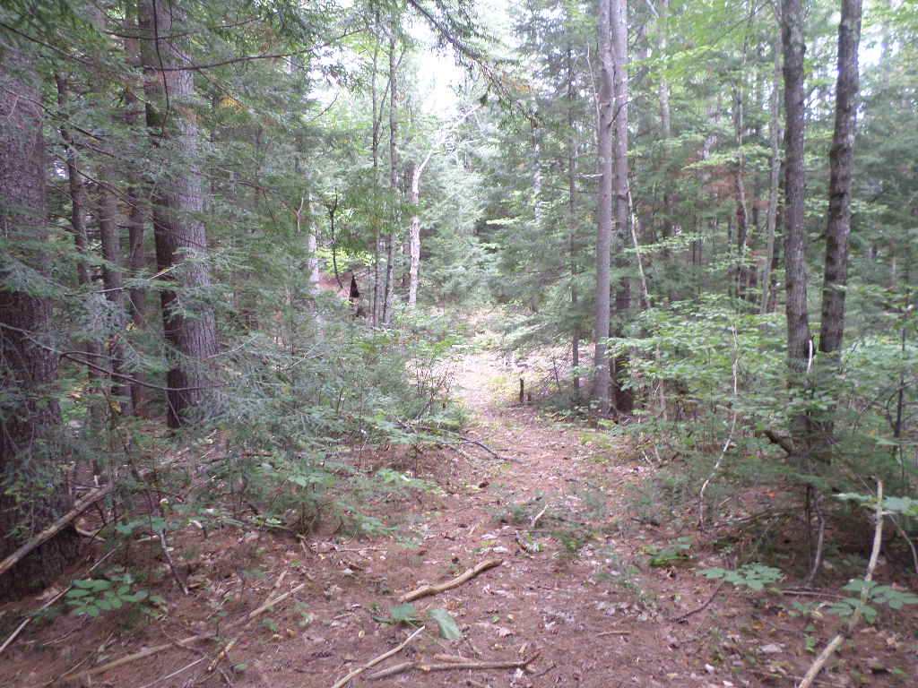 4 Us Route, Unit LOTS 33 & 41 Danbury, NH 03230 - Photo 12 of 21 Gallery Image 12
