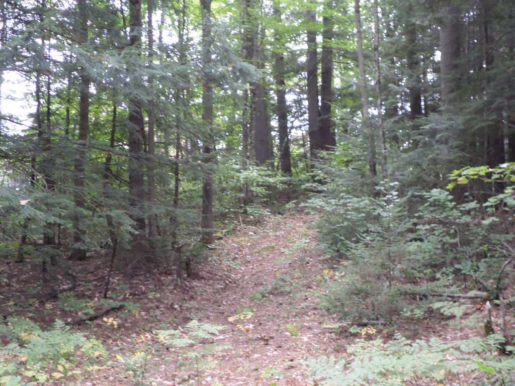 4 Us Route, Unit LOTS 33 & 41 Danbury, NH 03230 - Photo 19 of 21 Gallery Image 19
