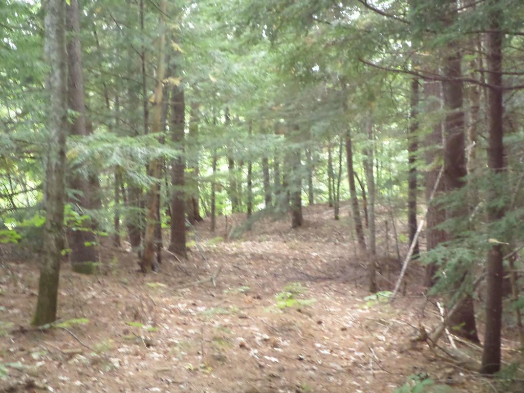 4 Us Route, Unit LOTS 33 & 41 Danbury, NH 03230 - Photo 20 of 21 Gallery Image 20