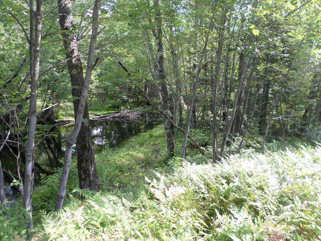 4 Us Route, Unit LOTS 33 & 41 Danbury, NH 03230 - Photo 3 of 21 Gallery Image 3