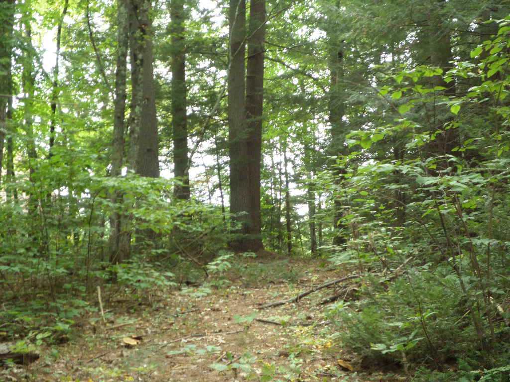 4 Us Route, Unit LOTS 33 & 41 Danbury, NH 03230 - Photo 21 of 21 Gallery Image 21