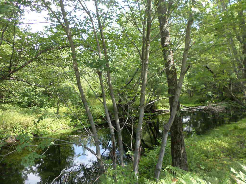 4 Us Route, Unit LOTS 33 & 41 Danbury, NH 03230 - Photo 4 of 21 Gallery Image 4