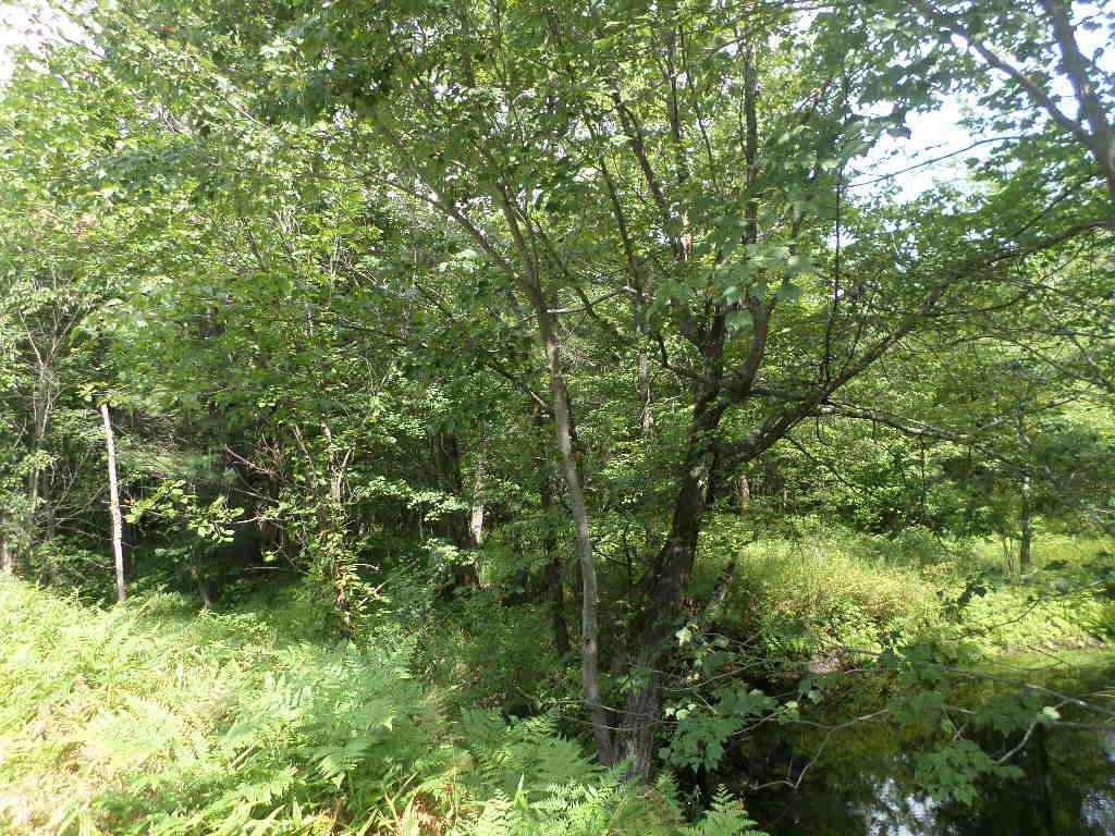 4 Us Route, Unit LOTS 33 & 41 Danbury, NH 03230 - Photo 5 of 21 Gallery Image 5