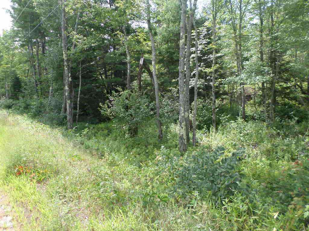 4 Us Route, Unit LOTS 33 & 41 Danbury, NH 03230 - Photo 6 of 21 Gallery Image 6