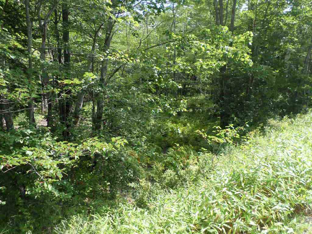 4 Us Route, Unit LOTS 33 & 41 Danbury, NH 03230 - Photo 7 of 21 Gallery Image 7