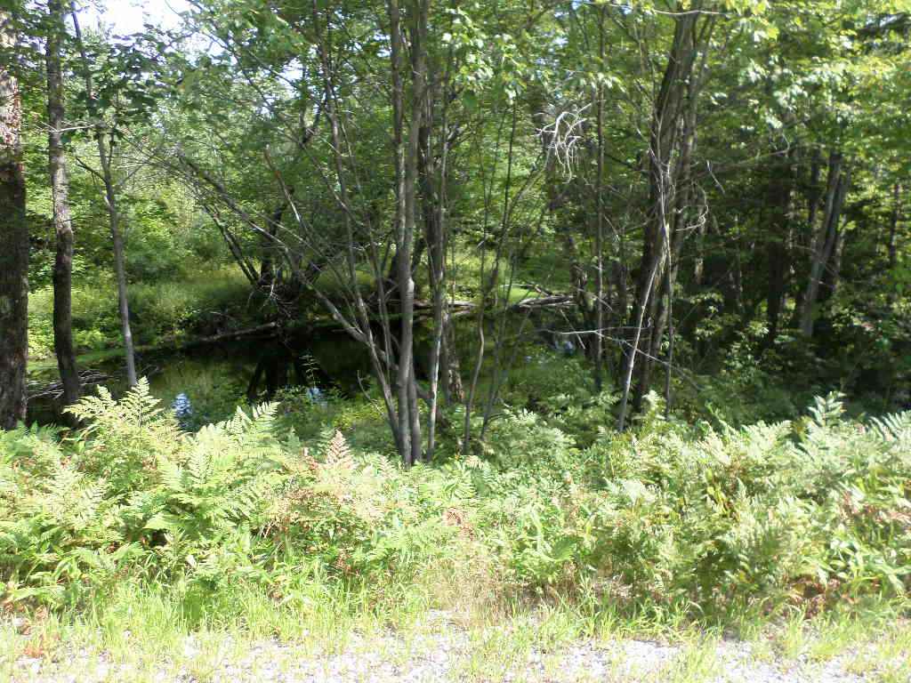 4 Us Route, Unit LOTS 33 & 41 Danbury, NH 03230 - Photo 9 of 21 Gallery Image 9