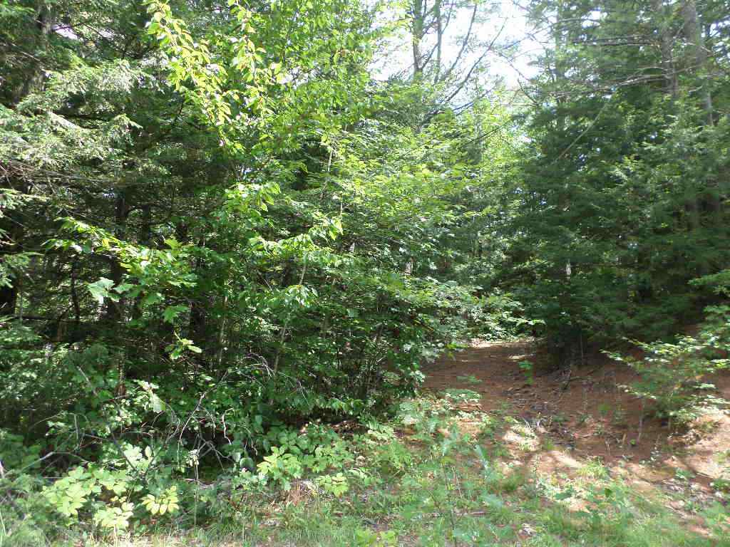 4 Us Route, Unit LOTS 33 & 41 Danbury, NH 03230 - Photo 10 of 21 Gallery Image 10