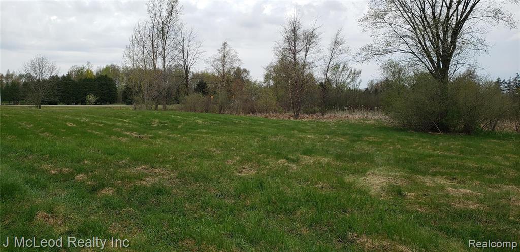 Parcel F Parcel F Birch Run Millington, MI 48746 - Photo 19 of 20