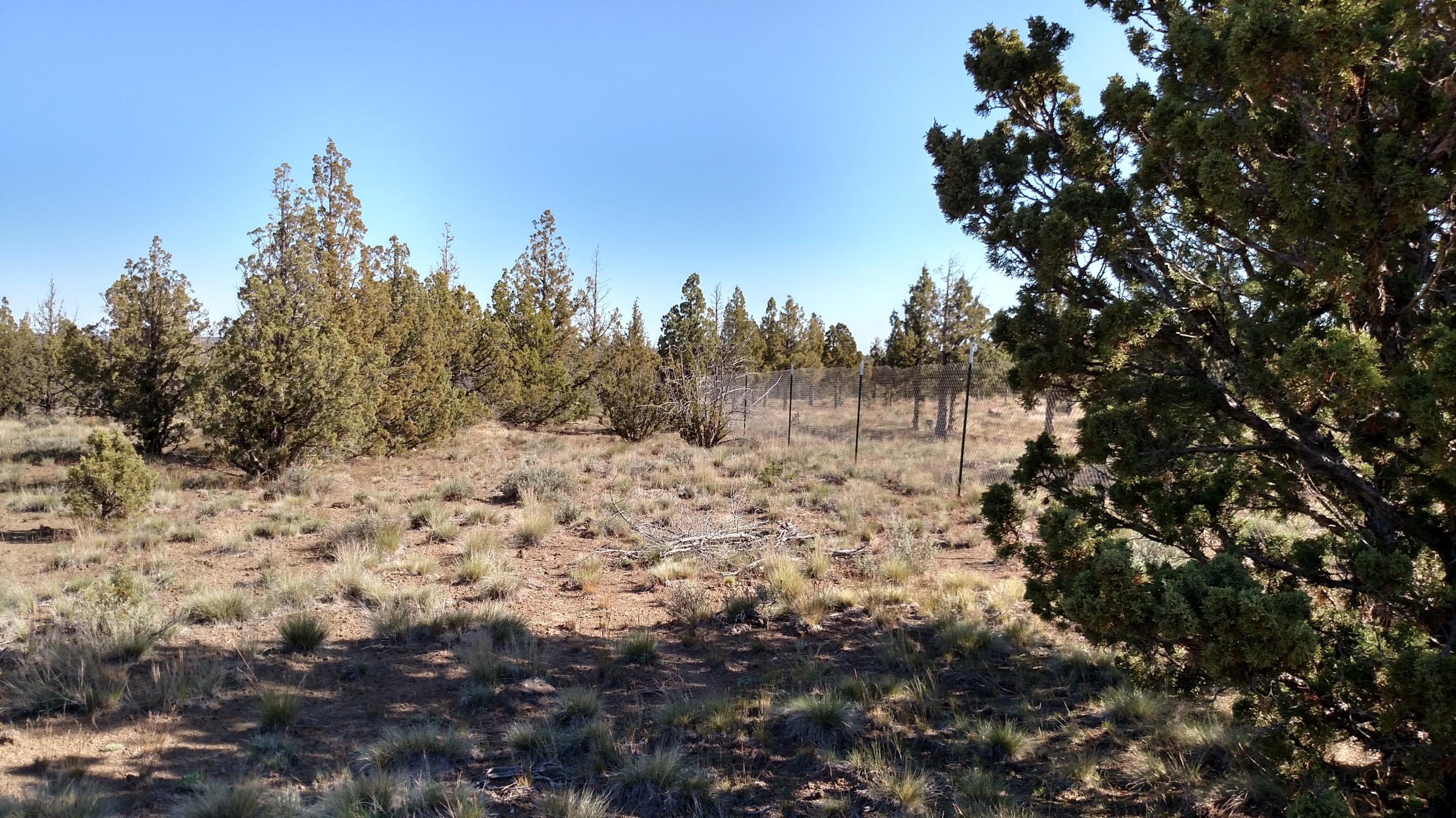 Southeast Adobe Road Prineville, OR 97754 - Photo 4 of 4 IMG_20200508_091927603_HDR