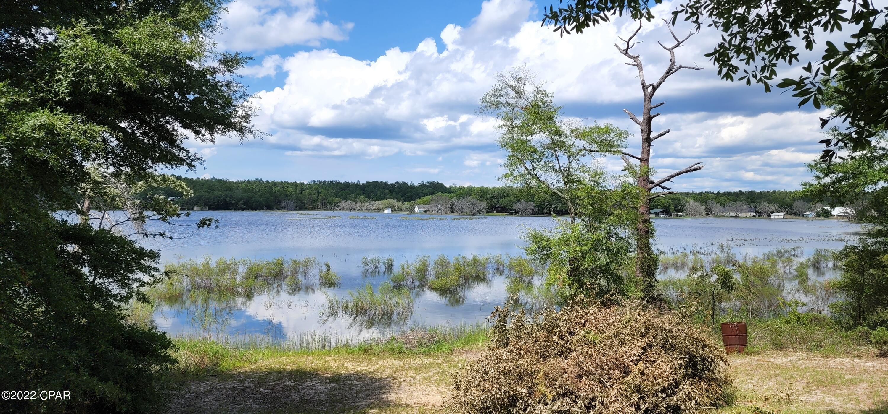 5091 Pine Ridge Drive Chipley, FL 32428 - Photo 2 of 41 Gallery Image 2