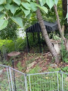 Sundown Resort Drive Townsend, TN 37882 - Photo 4 of 12 IMG_4989