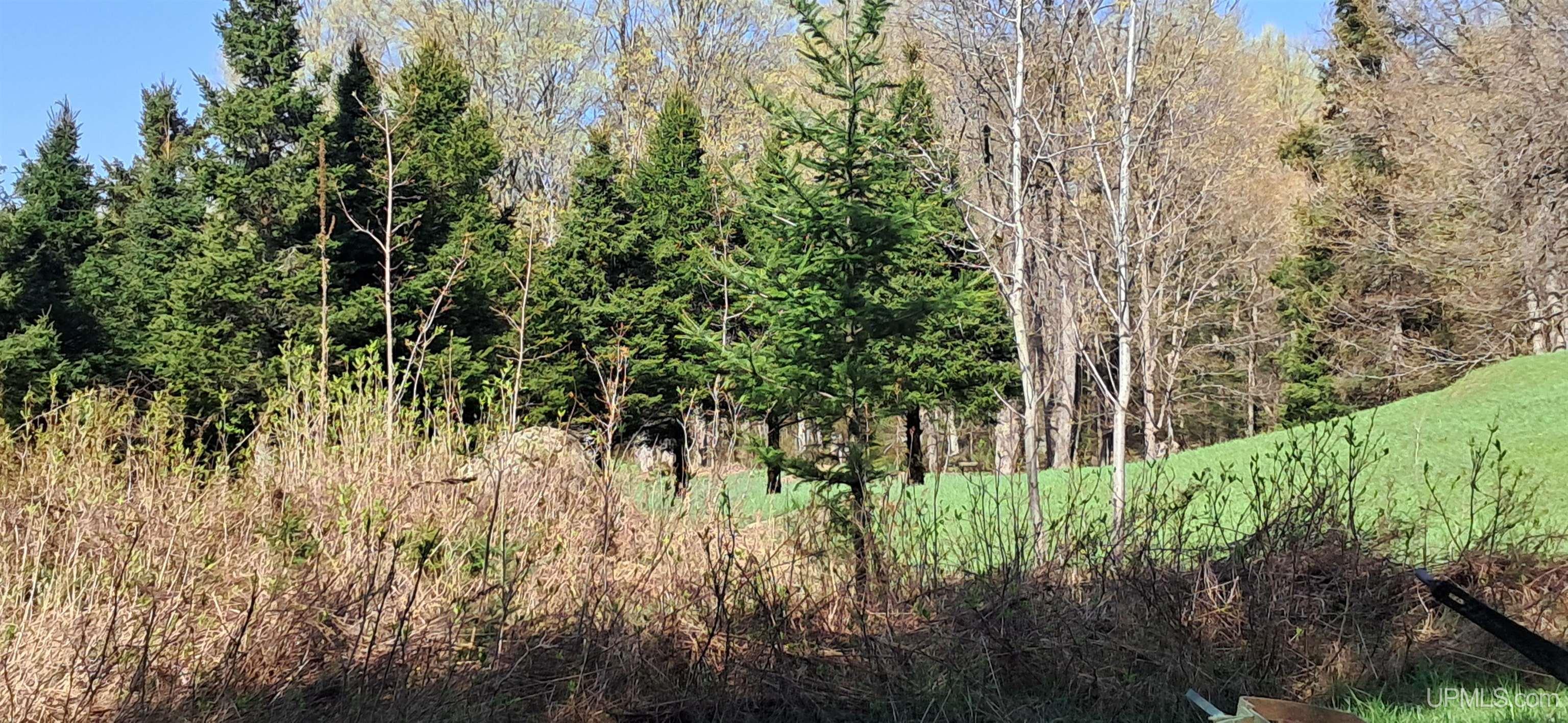 Tbd County H26 Road Rock, MI 49880 - Photo 11 of 20