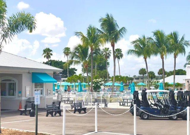 a view of a swimming pool with a garden