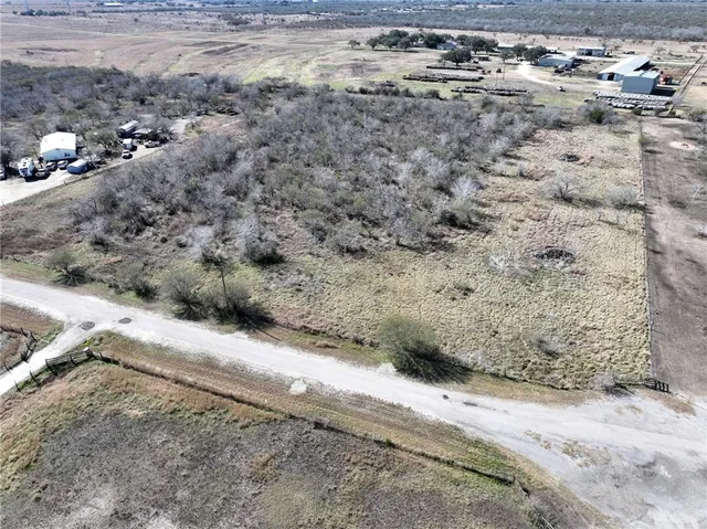 a view of a dry yard with trees