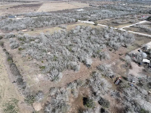 a view of a dry yard with green space