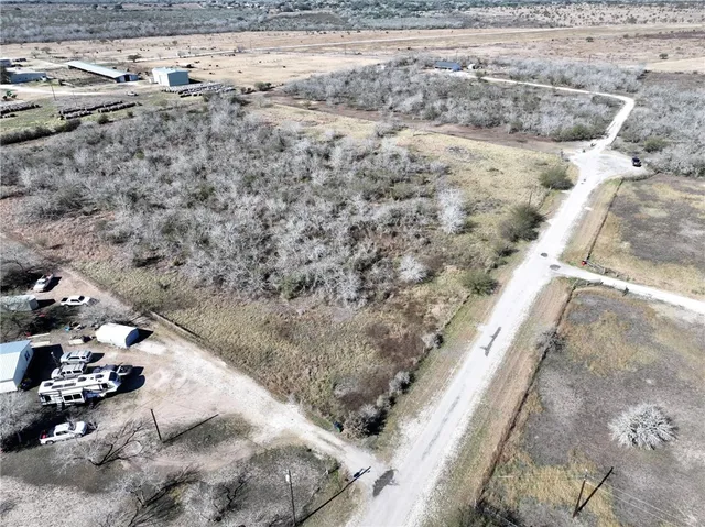 a view of a dry yard with trees