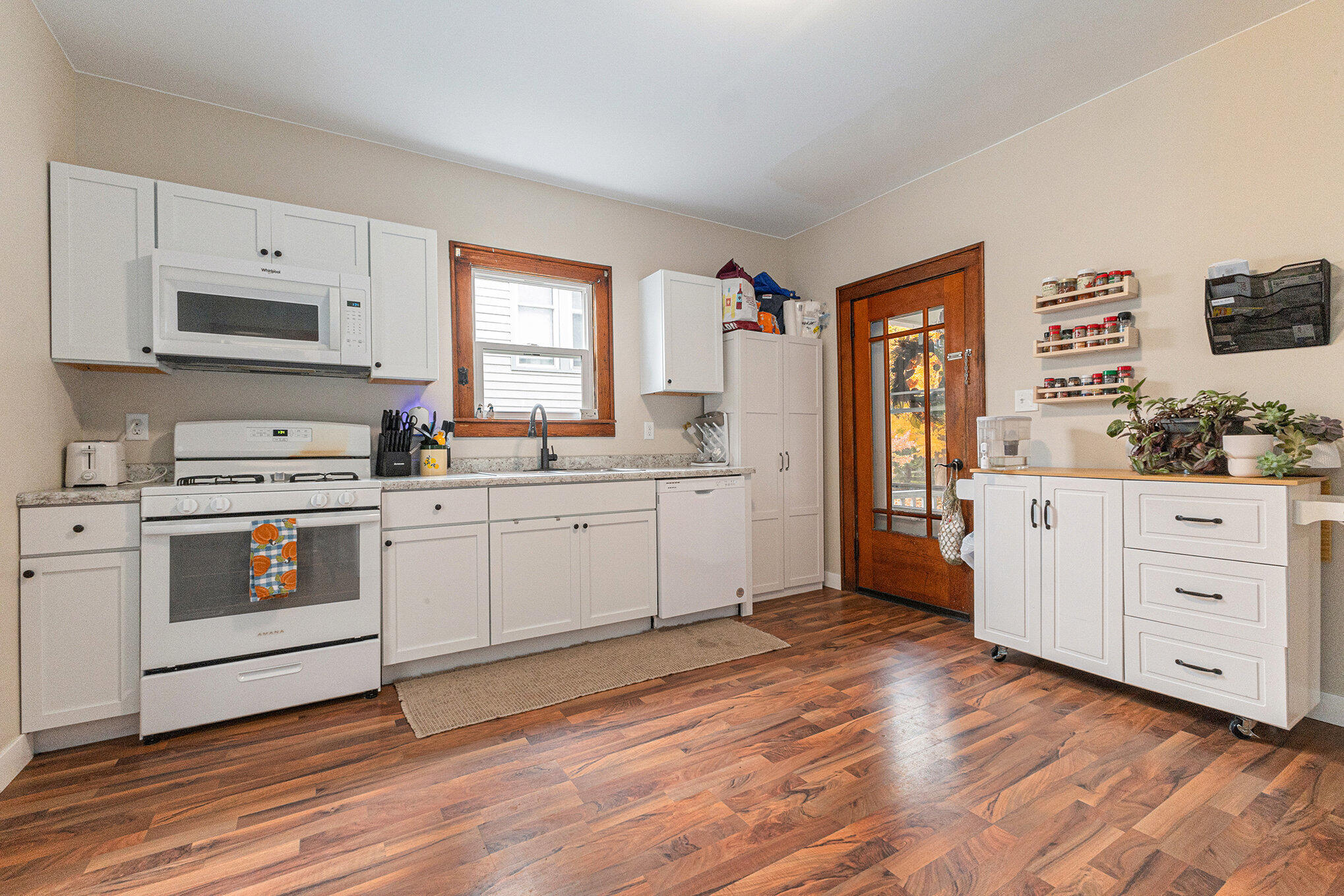 308 Yeomans Street Ionia, MI 48846 - Photo 7 of 19 007_file_782