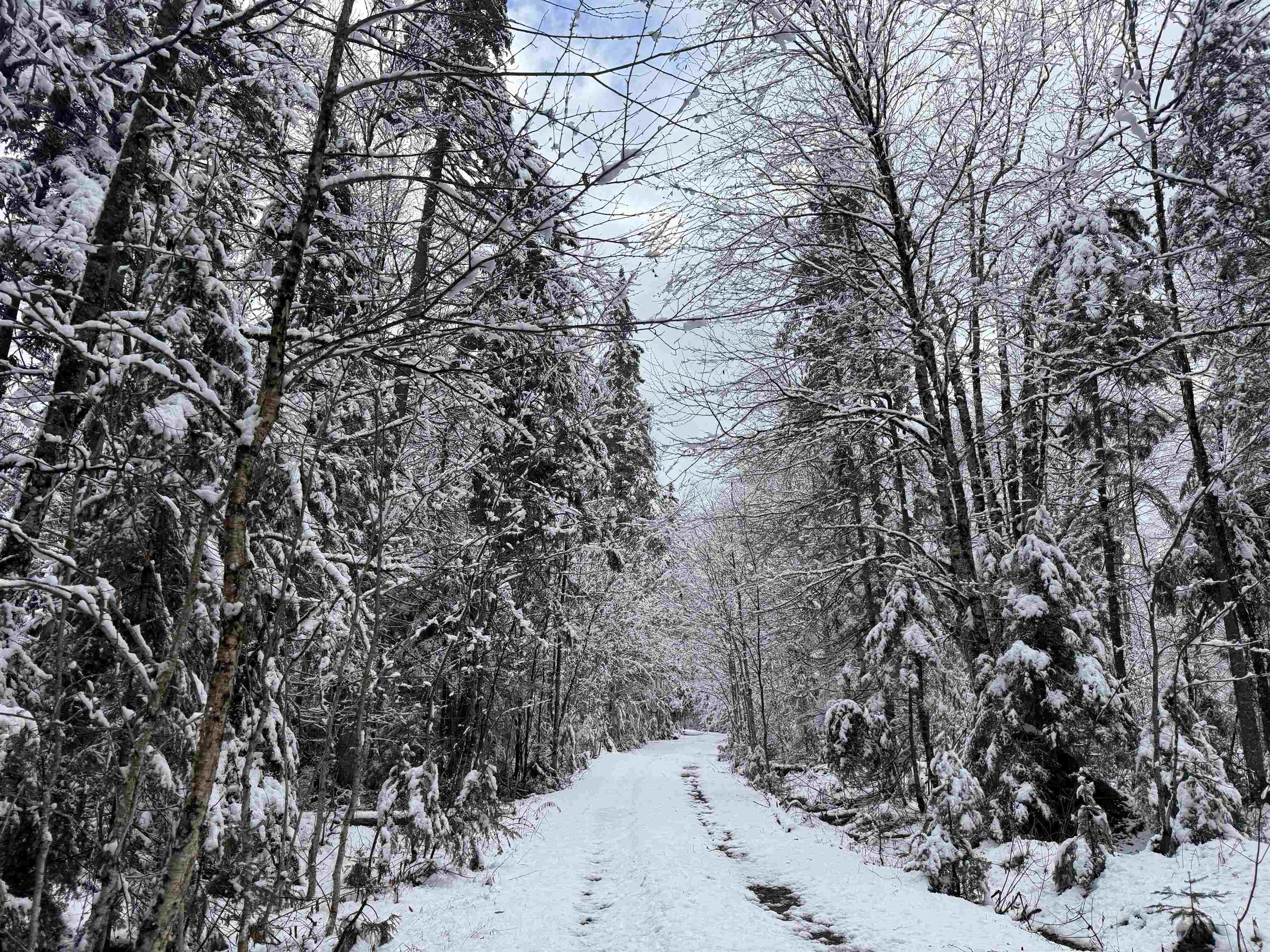 3563 East Branch Road Canaan, VT 05903 - Photo 33 of 33