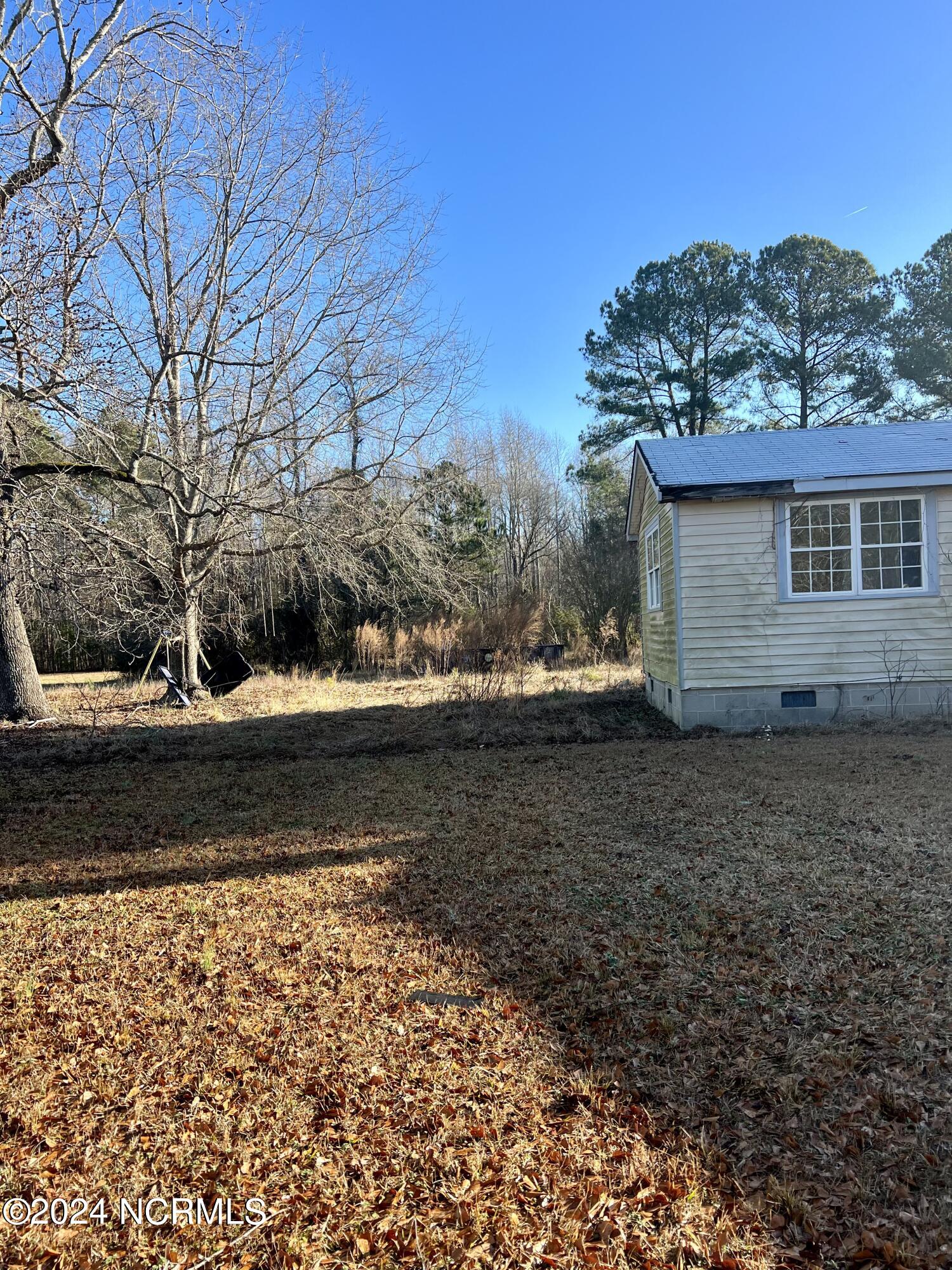 250 Tiptoe Road Edenton, NC 27932 - Photo 16 of 17 Left Side Yard