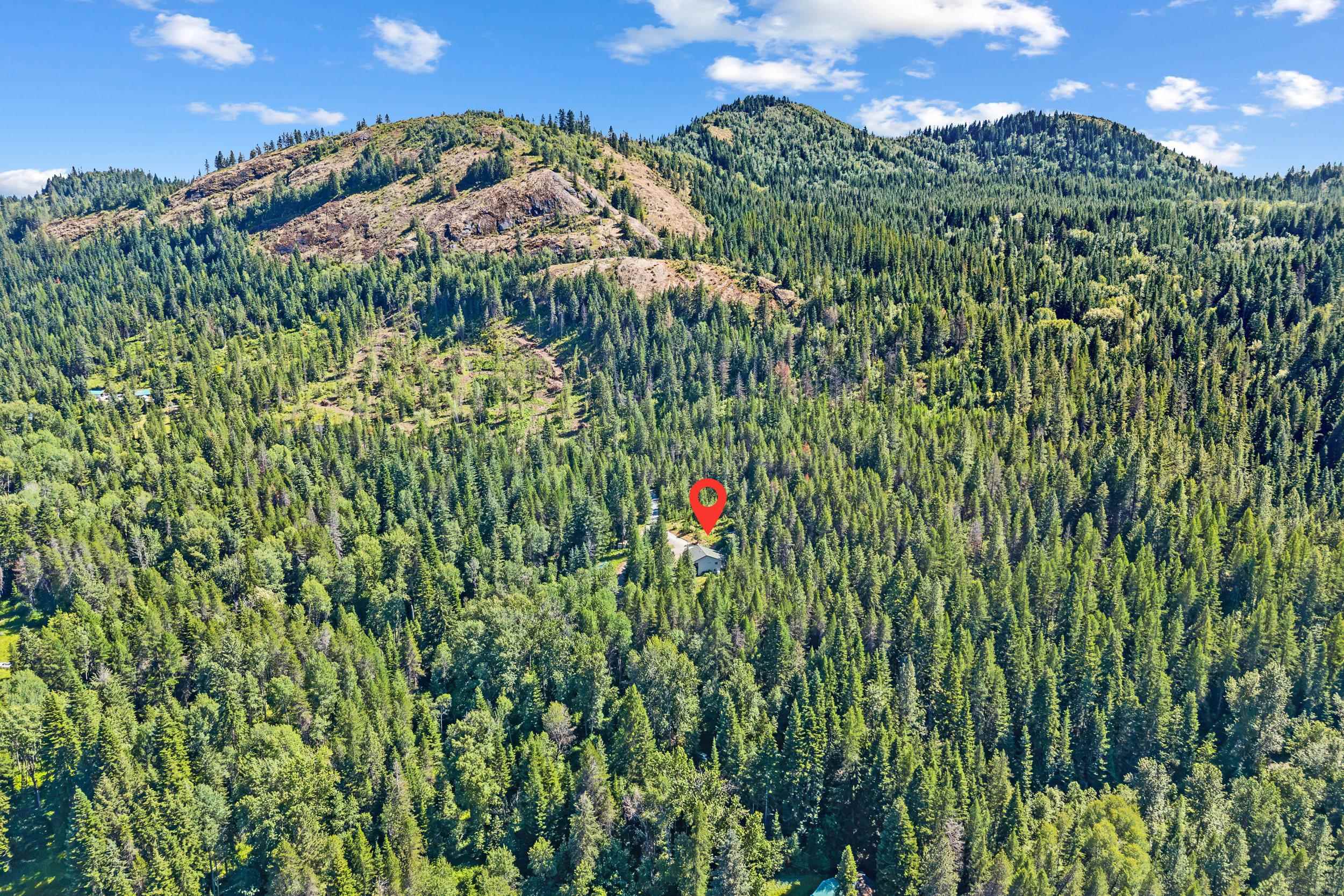 292 Saddle Mountain Road Newport, WA 99156 - Photo 49 of 50