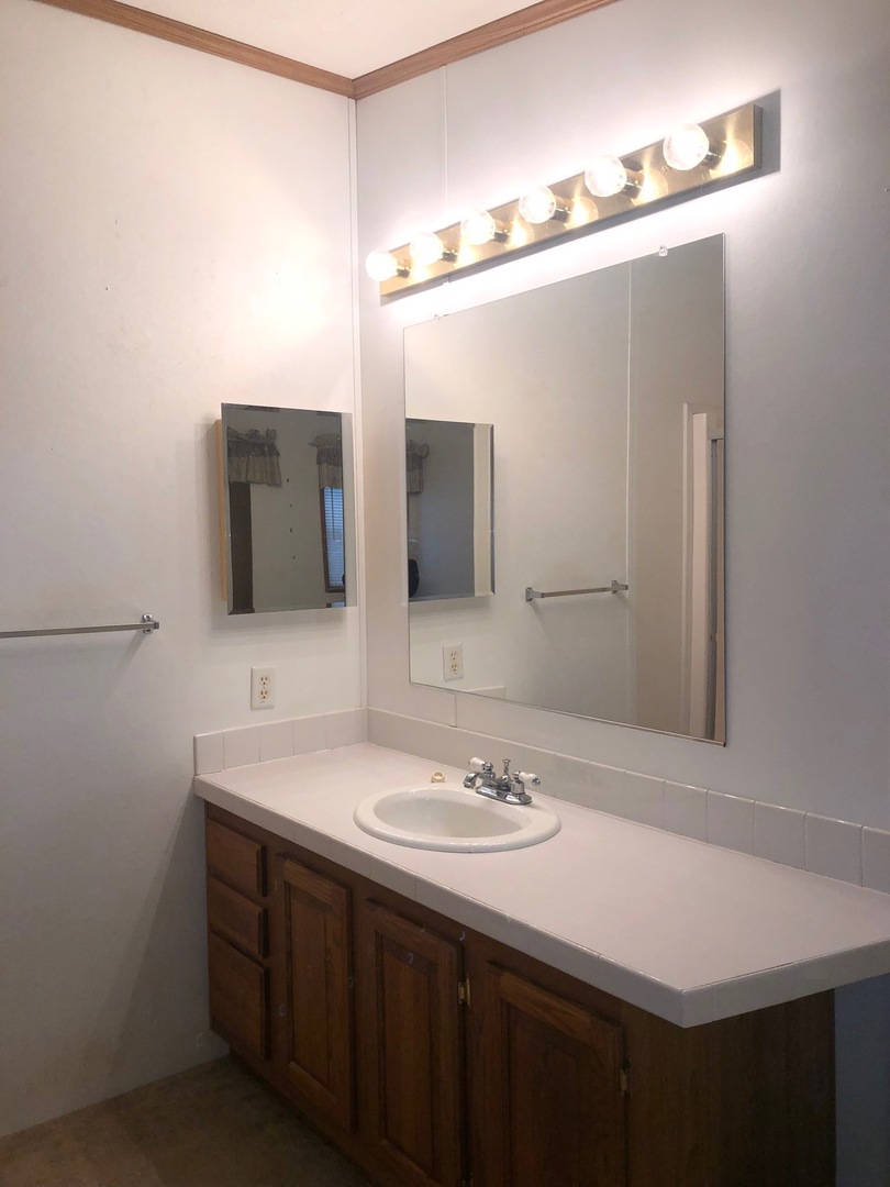 1043 Brewster Road Amboy, IL 61310 - Photo 5 of 17 a bathroom with a sink and a mirror