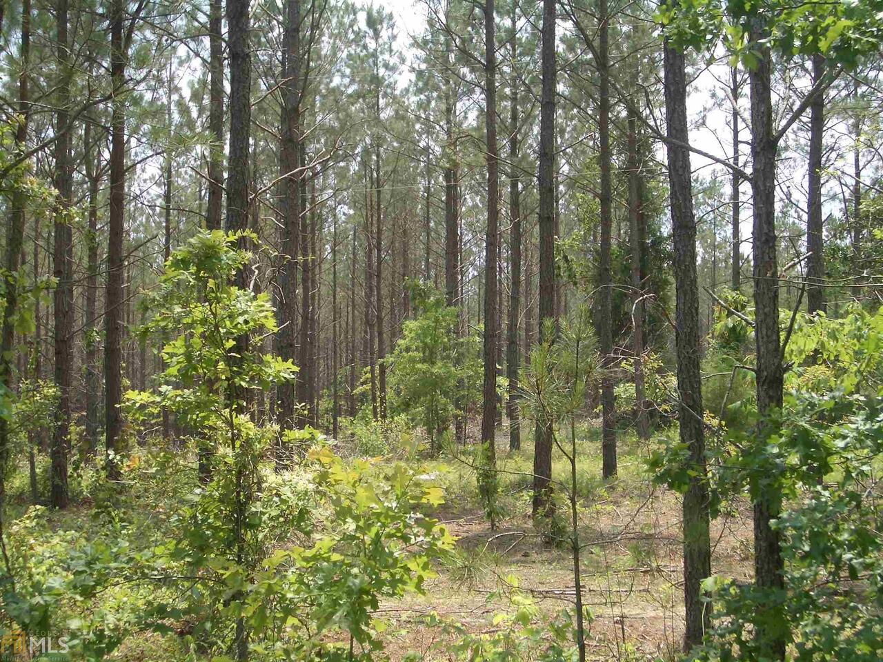 0 Tom Jones Road, Unit 95283 Kingston, GA 30145 - Photo 1 of 1
