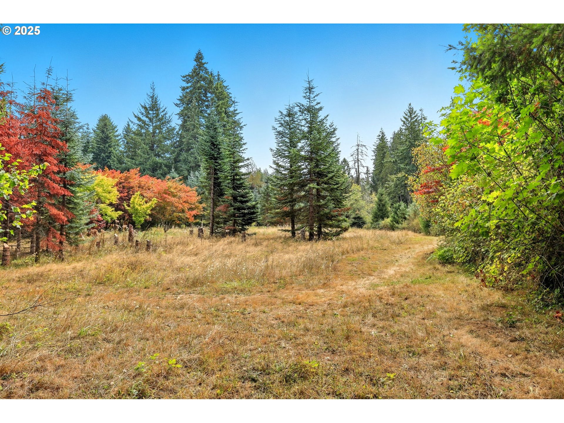 9100 Southeast Telford Road Boring, OR 97009 - Photo 39 of 47