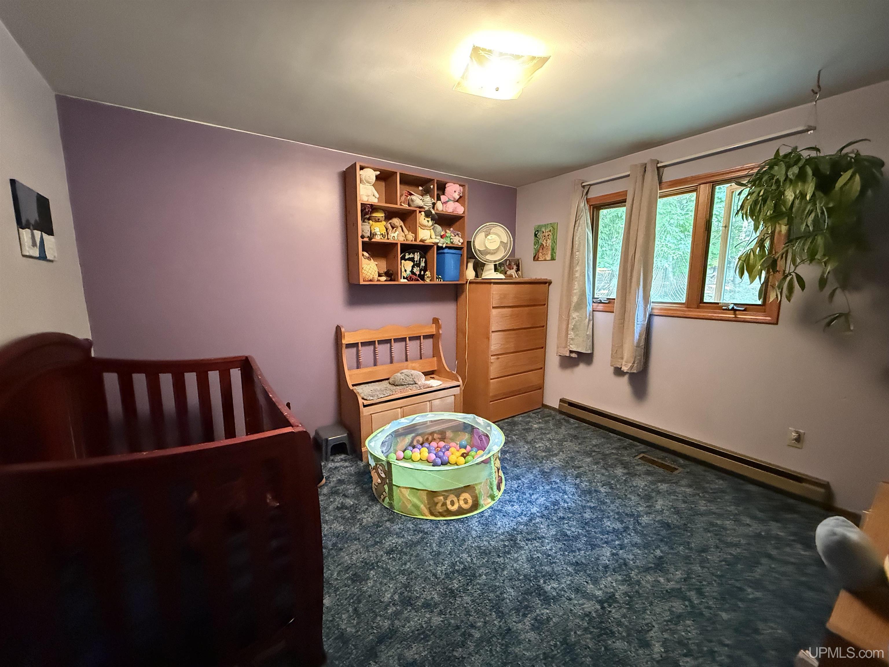 2750 Co Road Skandia, MI 49885 - Photo 6 of 7