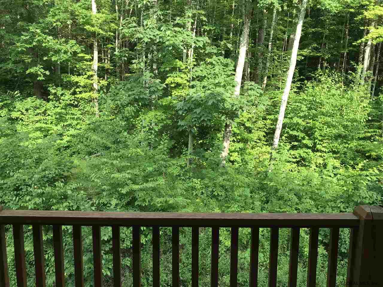642 Tiplady Road Salem, NY 12865 - Photo 44 of 50 Photo 44