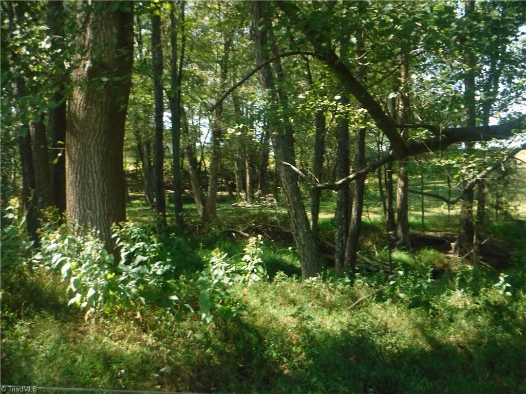 3733 Shaw Road Boonville, NC 27011 - Photo 11 of 21 Gallery Image 11