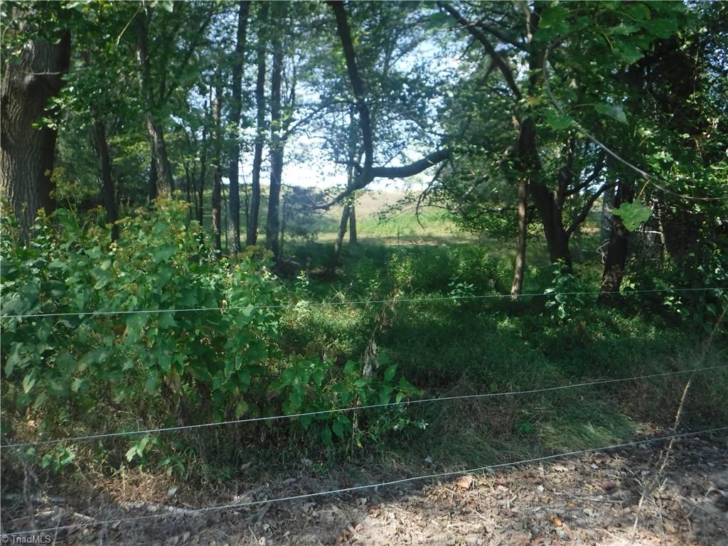 3733 Shaw Road Boonville, NC 27011 - Photo 12 of 21 Gallery Image 12