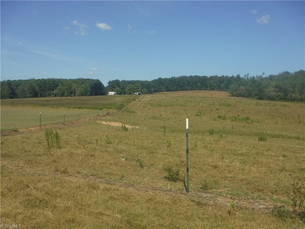 3733 Shaw Road Boonville, NC 27011 - Photo 14 of 21 Gallery Image 14