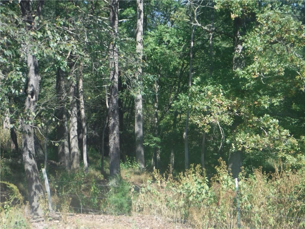 3733 Shaw Road Boonville, NC 27011 - Photo 19 of 21 Gallery Image 19