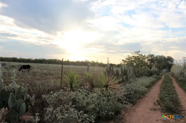 a view of a yard with wooden fence