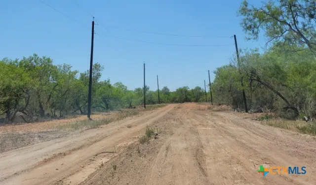 a view of a road with a tree in the background